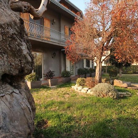 Magnolia Hotel Savignano sul Rubicone Eksteriør billede