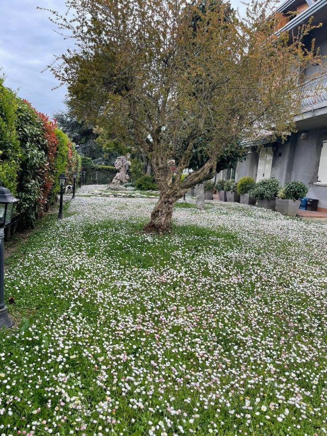 Magnolia Hotel Savignano sul Rubicone Eksteriør billede